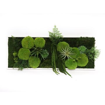 Cadre végétal panoramique naturel