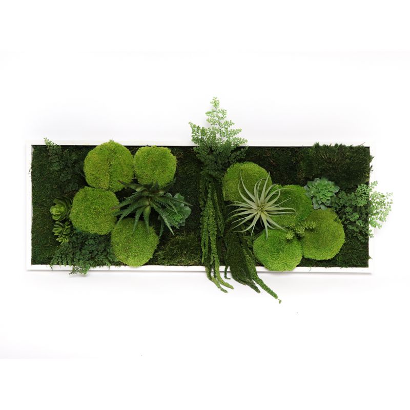 Cadre végétal panoramique naturel