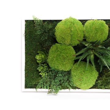 Tableau végétal en mousse naturelle