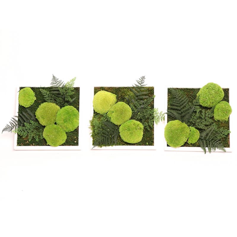 Triptyque mousse végétale