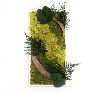 Tableau végétal symétrie