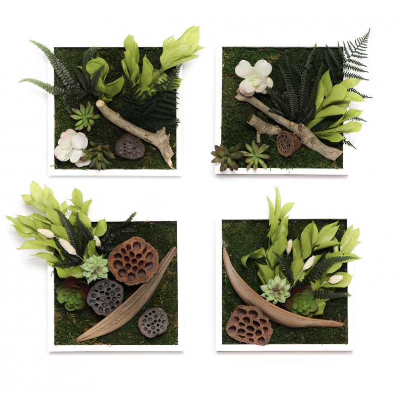 Tableaux végétalisés modulables