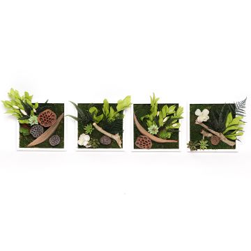 4 tableaux végétaux