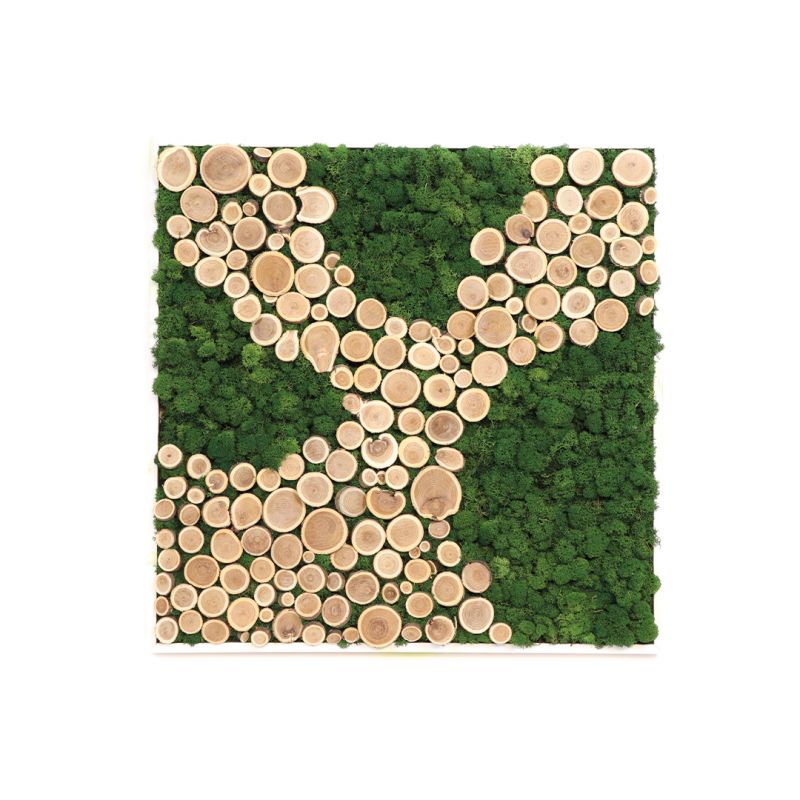 Tableau végétal stabilisé déco