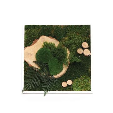 Tableau végétal et bois