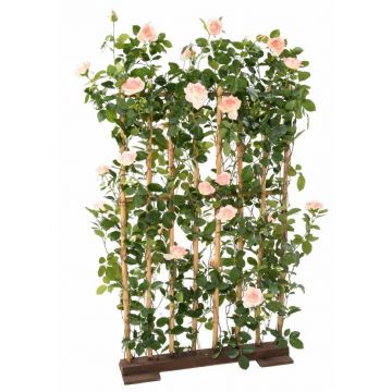 Rosier artificiel royal...