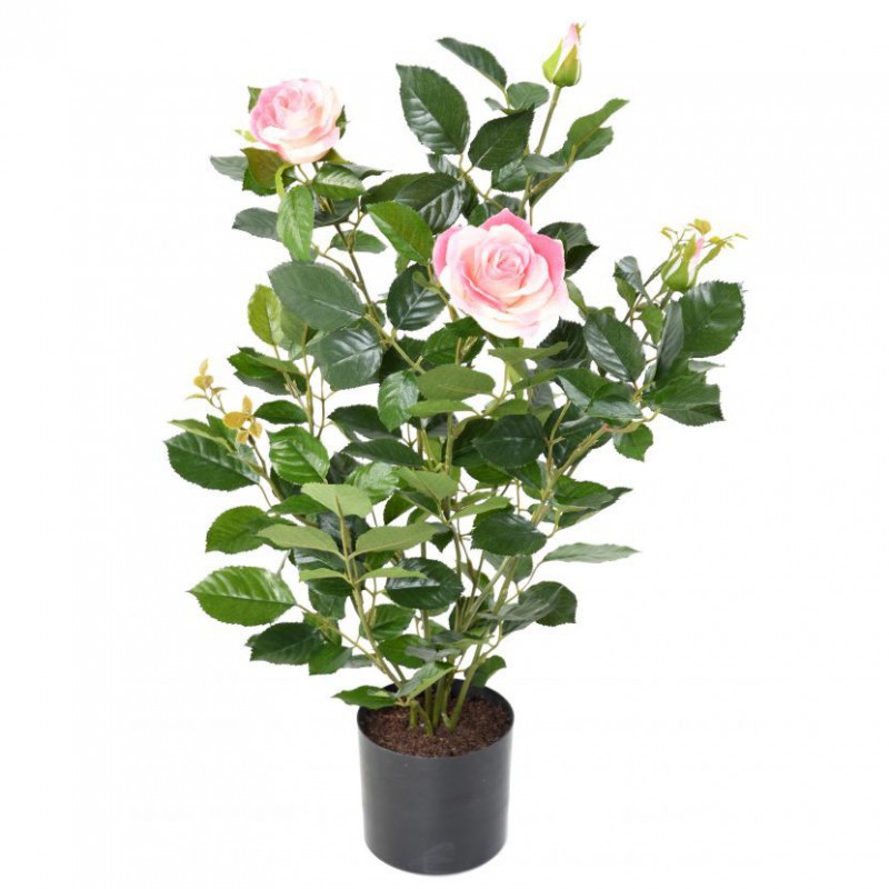 ROSIER ARTIFICIEL ROYAL ROSE