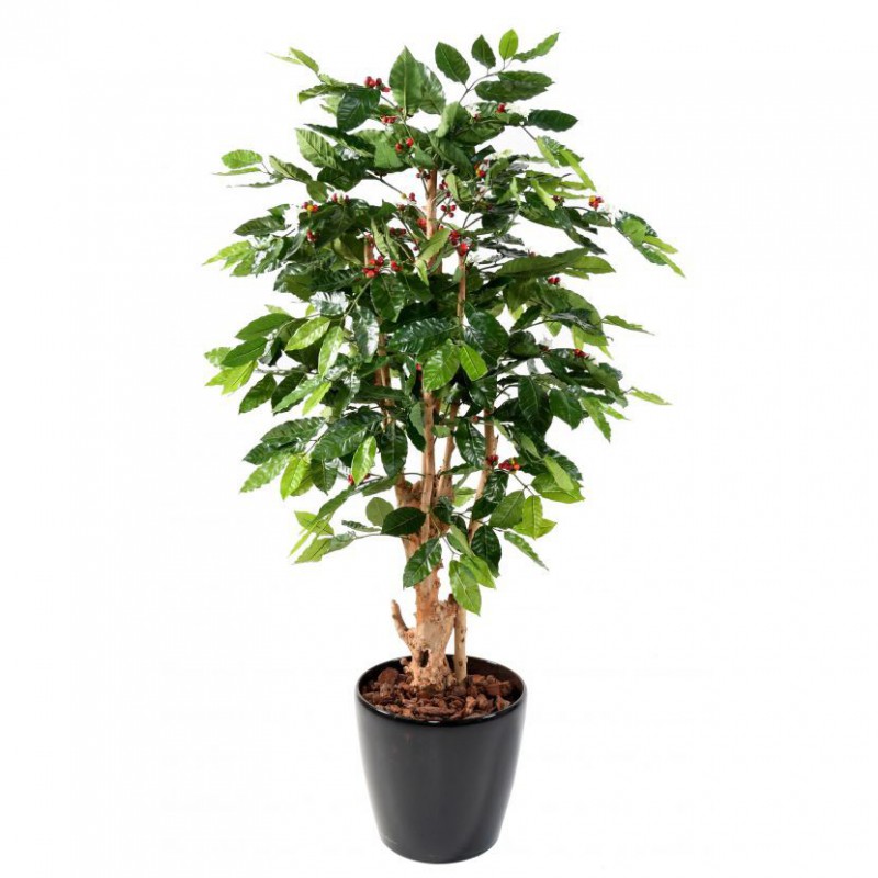 CAFEIER ARTIFICIEL FLEURS TRONCS NOUEUX