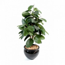 Ficus Artificiel Elastica - Arbre artificiel pour intérieur