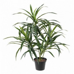Dracaena Artificiel Anita Pot