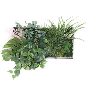 Tableau végétal stabilise...