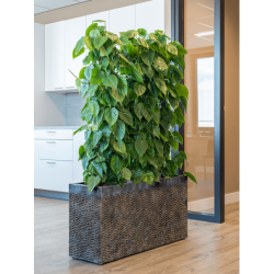 Jardinière rectangulaire