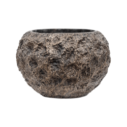 Coupe ronde décorative en métal