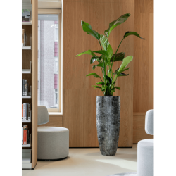 Bac à fleur design intérieur