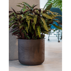 Pot de fleur pour plante