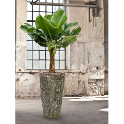 Lava Partner Sraight Jade