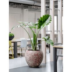 Pot de fleur céramique rouge