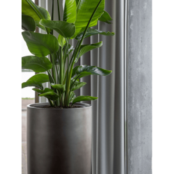 Bac à plantes très tendance