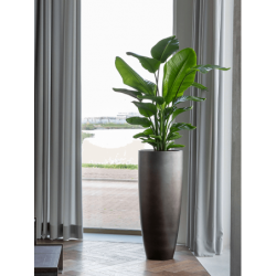 Bac décoratif pour intérieur