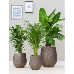 Pots de fleur gamme Opus