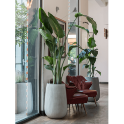 Pot de fleur haut en fibre