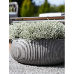 Coupe végétale en fibre