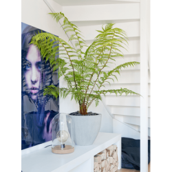 Pot de fleur pour plante