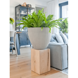 Pot design pour intérieur