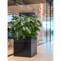 Pot de fleur noir carré