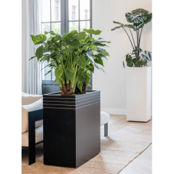 Jardinière rectangulaire noire