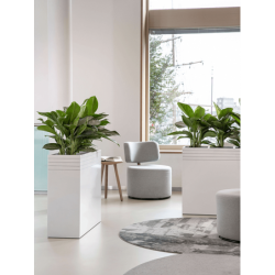 Jardinière haute pour intérieur