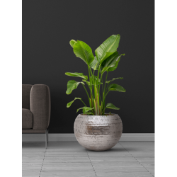 Pot rond pour intérieur