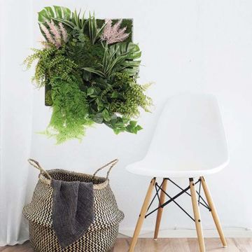 Mur végétal & cadre végétal | Florabora home
