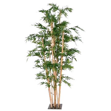 Bambous artificiels - Arbres artificiels l Florabora Home