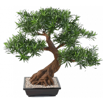 Bonsaïs artificiels - Arbres artificiels l Florabora Home