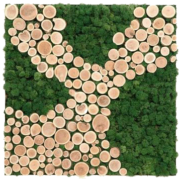 Cadre végétal - Végétal stabilisé | Florabora Home