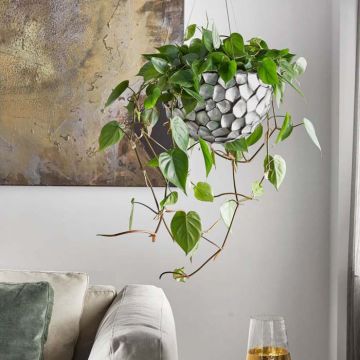 Bacs à fleurs - Collection Oceana | Florabora Home