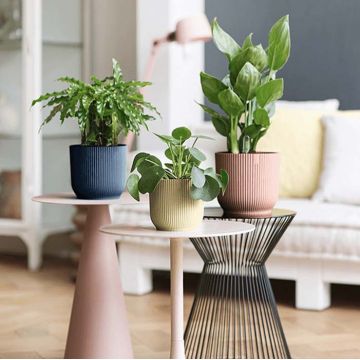 Pot déco - Collection Elho Vibes | Florabora Home