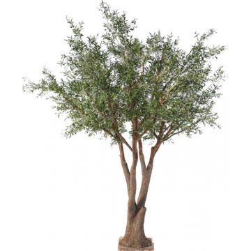 Oliviers artificiels pour intérieur & extérieur - Florabora Home