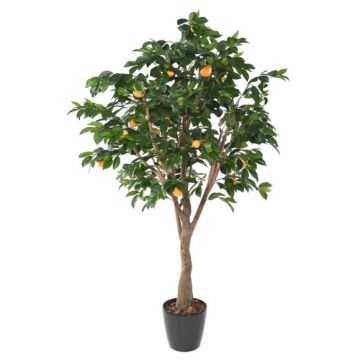 Agrumes artificiels, orangers & citronniers - Florabora Home
