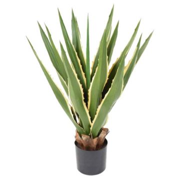Agaves artificiels pour intérieur et extérieur - Florabora Home
