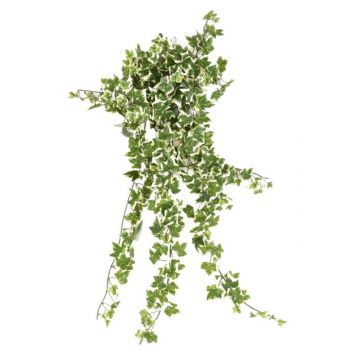 Chutes de lierre artificiel, fausses retombantes - Florabora Home