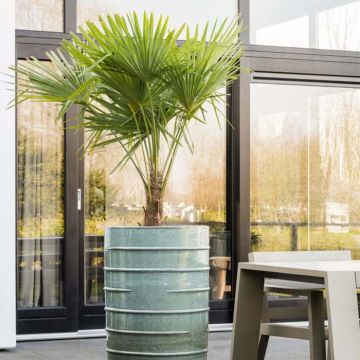 Bacs à fleurs - Collection Beauty | Florabora Home