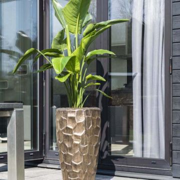 Bacs à fleurs - Collection Cascara | Florabora Home