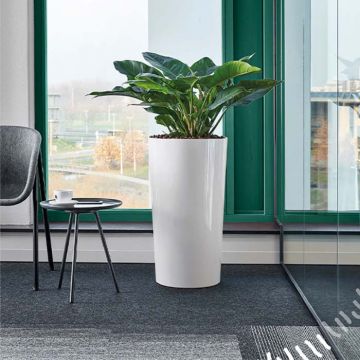 Bacs à fleurs - Collection Ecoline | Florabora Home