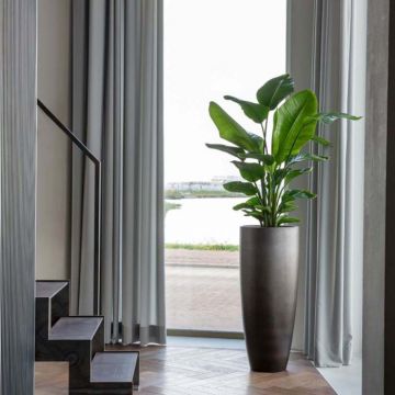 Bacs à fleurs - Collection Gradient | Florabora Home