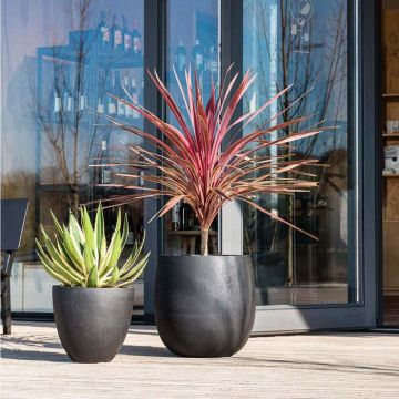 Bacs à fleurs - Collection Grigio | Florabora Home