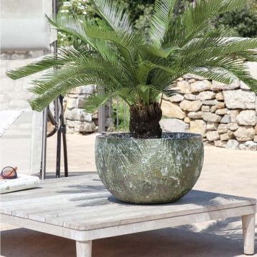 Bacs à fleurs - Collection Lava| Florabora Home