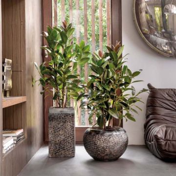 Bacs à fleurs - Collection Luxe Lite | Florabora Home