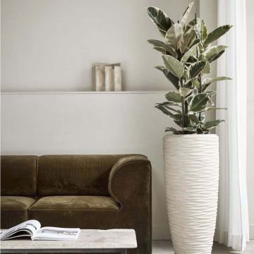 Bacs à fleurs - Collection Polystone | Florabora Home